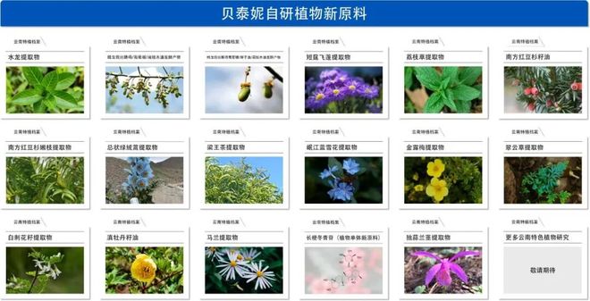 泰妮“双十一”多品牌协同展现国货韧性麻将胡了2试玩网站深耕功效护肤赛道贝(图3) 泰妮“双十一”多品牌协同展现国货韧性麻将胡了2试玩网站深耕功效护肤赛道贝(图3)